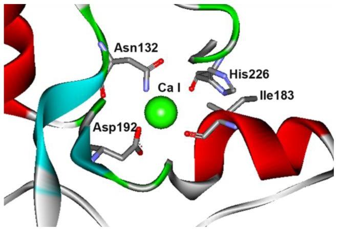 https://cdn.ncbi.nlm.nih.gov/pmc/blobs/b010/3382795/5a0adf4436d4/ijms-13-05307f3.jpg
