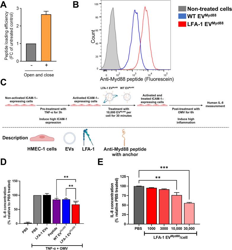 https://cdn.ncbi.nlm.nih.gov/pmc/blobs/b011/11780982/d36f100f426c/12951_2025_3125_Fig6_HTML.jpg