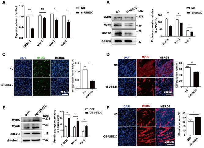 https://cdn.ncbi.nlm.nih.gov/pmc/blobs/b012/11322864/0d148fab5dd2/ABBS-2023-538-t2.jpg