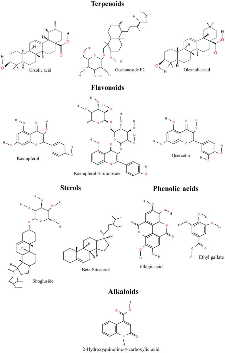 https://cdn.ncbi.nlm.nih.gov/pmc/blobs/b012/9868258/e4ea6485e704/fnut-09-1052504-g0003.jpg