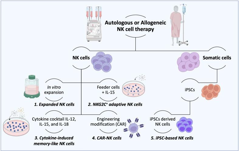 https://cdn.ncbi.nlm.nih.gov/pmc/blobs/b013/10185894/597ff887e79e/fimmu-14-1167666-g003.jpg