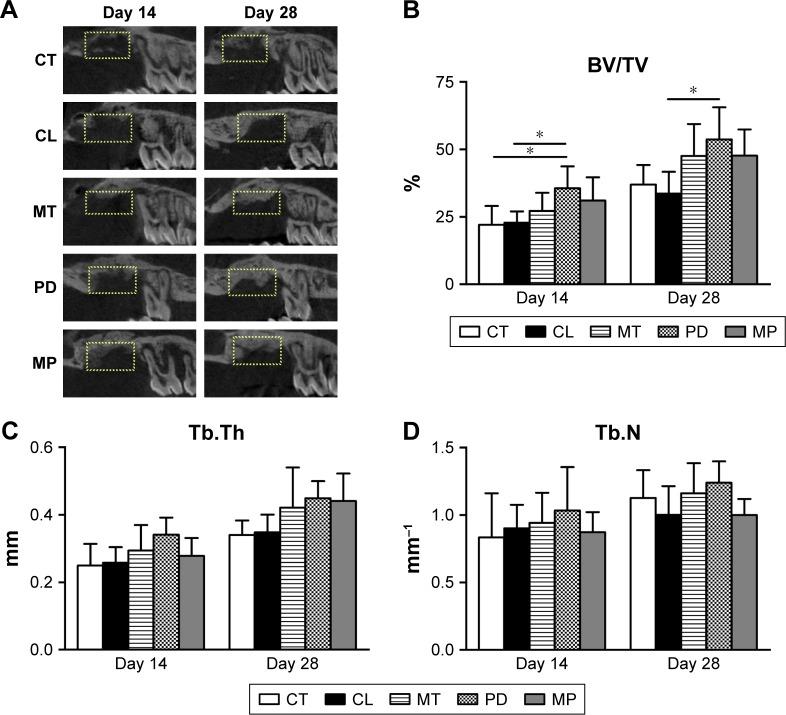 https://cdn.ncbi.nlm.nih.gov/pmc/blobs/b015/5548280/6cd1a4173fe1/ijn-12-5525Fig5.jpg