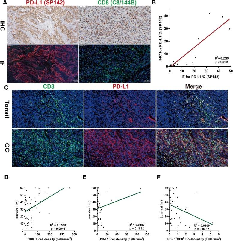 https://cdn.ncbi.nlm.nih.gov/pmc/blobs/b015/6249875/30e98d2b2ae7/13000_2018_766_Fig5_HTML.jpg