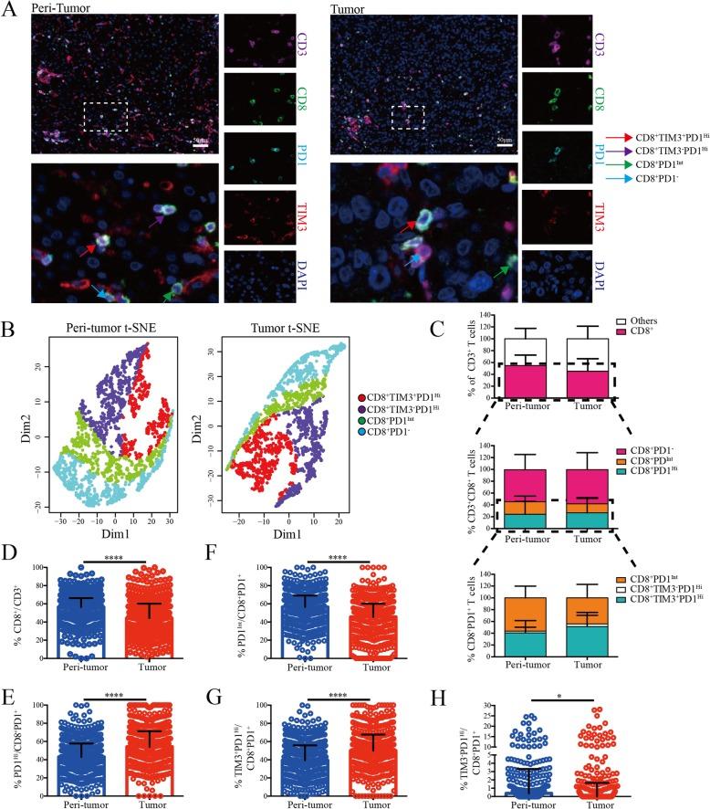 https://cdn.ncbi.nlm.nih.gov/pmc/blobs/b016/6884778/5049762bb07a/40425_2019_814_Fig4_HTML.jpg