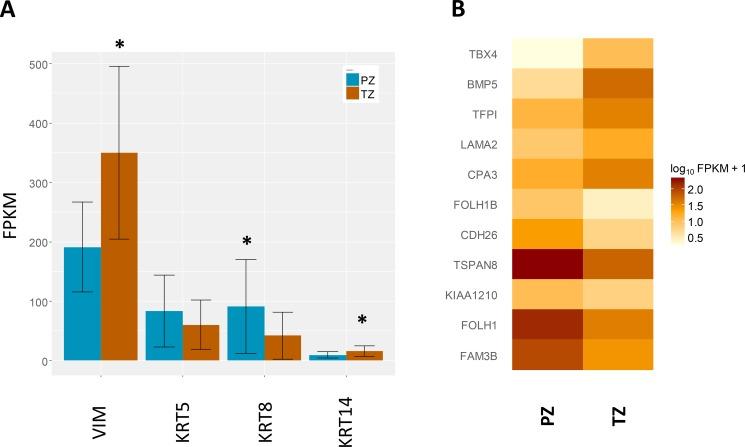https://cdn.ncbi.nlm.nih.gov/pmc/blobs/b017/5689582/535c725f13f8/oncotarget-08-84902-g002.jpg