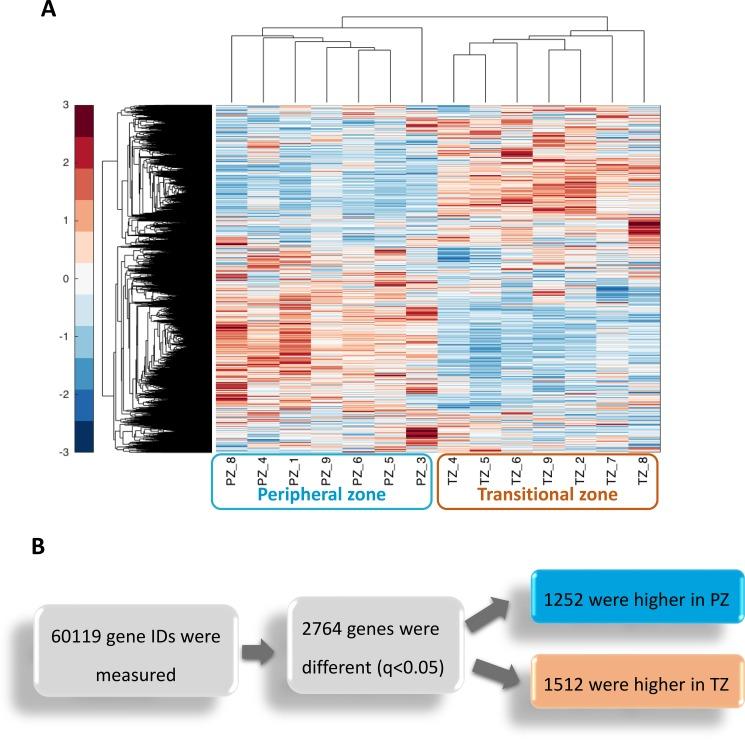 https://cdn.ncbi.nlm.nih.gov/pmc/blobs/b017/5689582/7c8405efc503/oncotarget-08-84902-g001.jpg