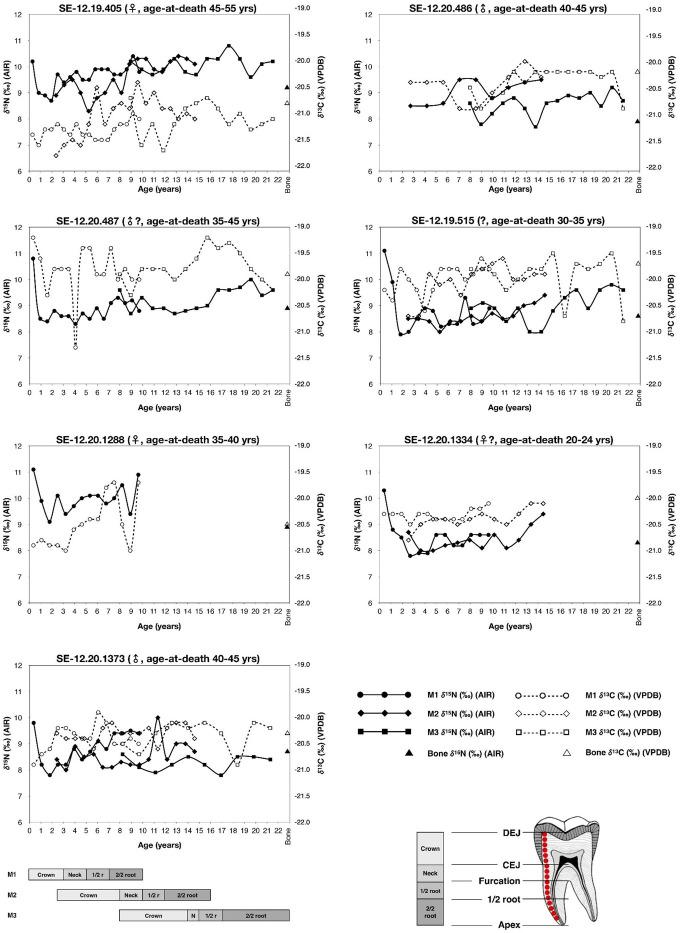https://cdn.ncbi.nlm.nih.gov/pmc/blobs/b018/11753681/2bfeaeebb206/pone.0316387.g003.jpg