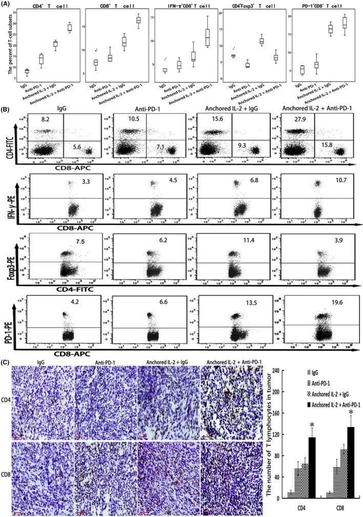 https://cdn.ncbi.nlm.nih.gov/pmc/blobs/b018/6317916/3ac339051cd2/CAS-110-31-g004.jpg