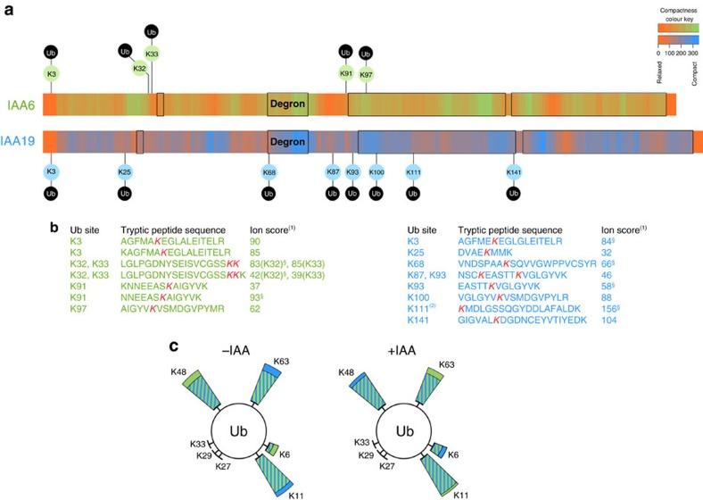 https://cdn.ncbi.nlm.nih.gov/pmc/blobs/b01c/5467235/59982d290e18/ncomms15706-f3.jpg