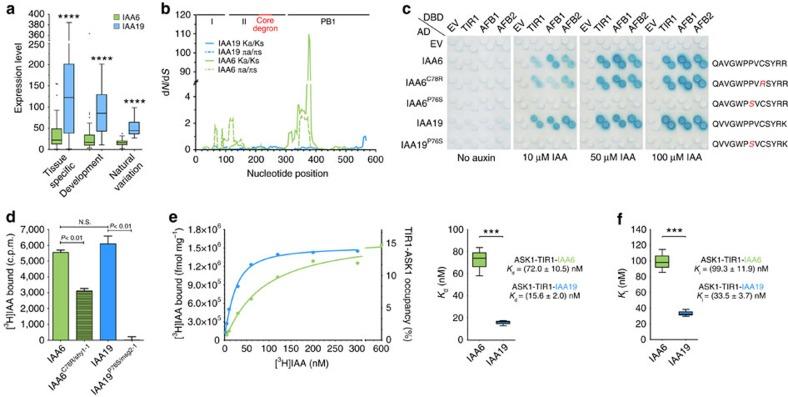 https://cdn.ncbi.nlm.nih.gov/pmc/blobs/b01c/5467235/fb972218e192/ncomms15706-f1.jpg
