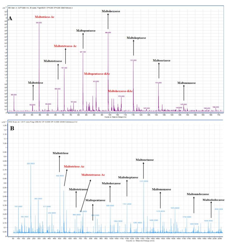 https://cdn.ncbi.nlm.nih.gov/pmc/blobs/b01d/11968854/3ff53d628ff8/41598_2025_96324_Fig5_HTML.jpg