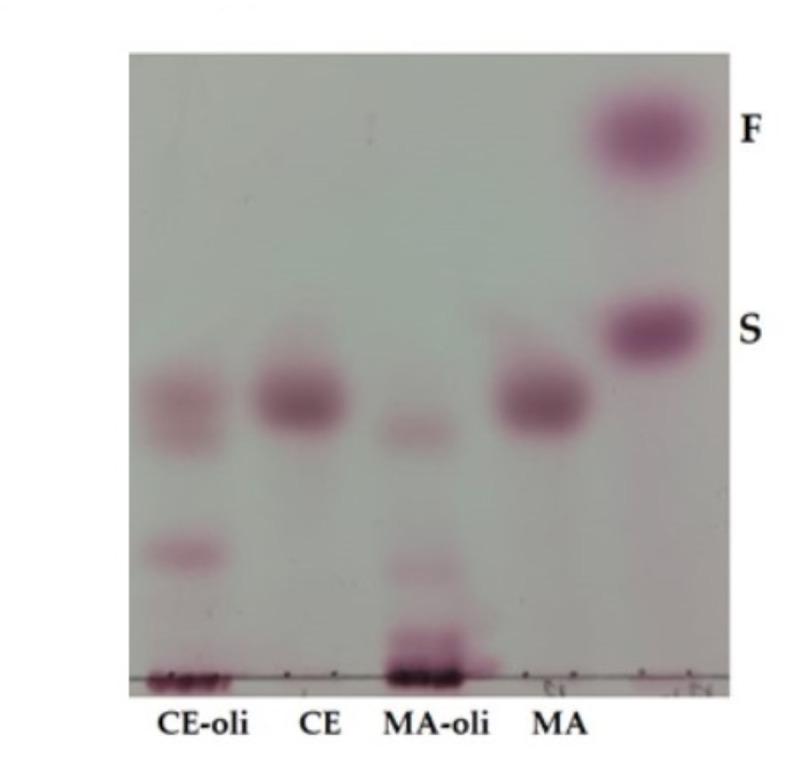 https://cdn.ncbi.nlm.nih.gov/pmc/blobs/b01d/11968854/9f551bb46474/41598_2025_96324_Fig2_HTML.jpg