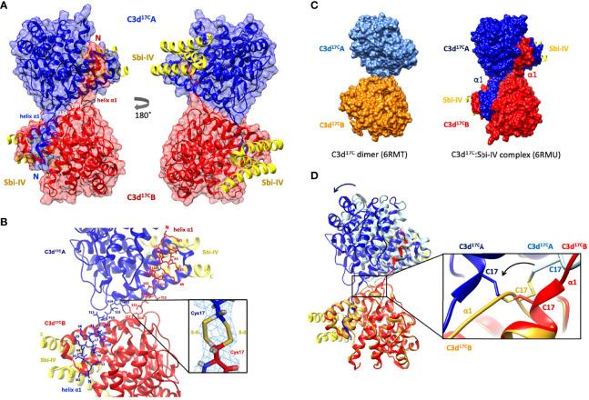 https://cdn.ncbi.nlm.nih.gov/pmc/blobs/b01d/9174452/00407428a4a2/fimmu-13-892234-g001.jpg