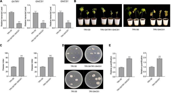 https://cdn.ncbi.nlm.nih.gov/pmc/blobs/b020/9111529/7f487b697b05/fpls-13-888703-g009.jpg