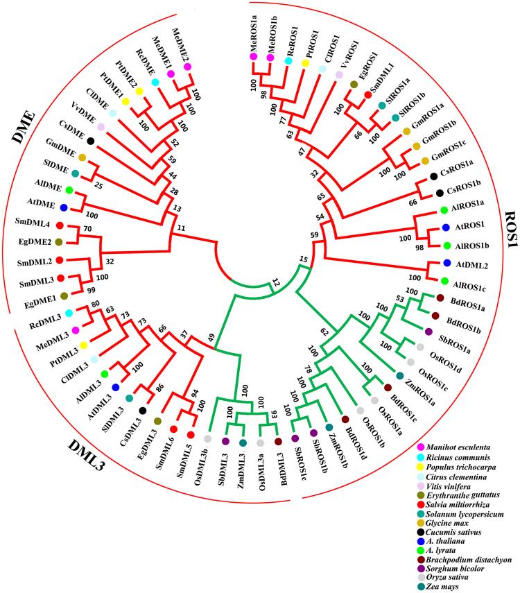 https://cdn.ncbi.nlm.nih.gov/pmc/blobs/b022/5940787/6164aedb3310/41598_2018_25315_Fig4_HTML.jpg