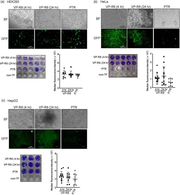 https://cdn.ncbi.nlm.nih.gov/pmc/blobs/b022/9096039/1e0b4955d38a/jvms-84-484-g005.jpg