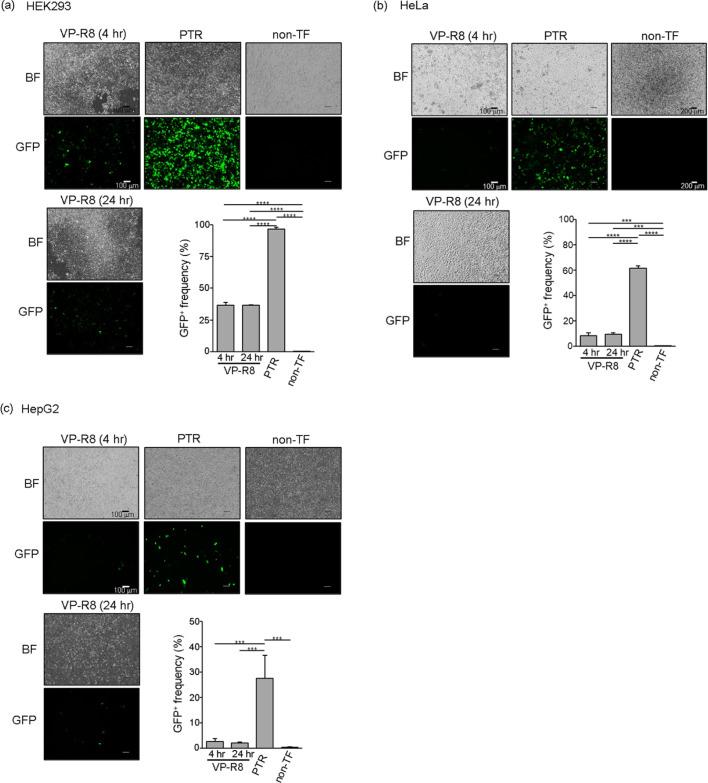https://cdn.ncbi.nlm.nih.gov/pmc/blobs/b022/9096039/ec984824d419/jvms-84-484-g003.jpg