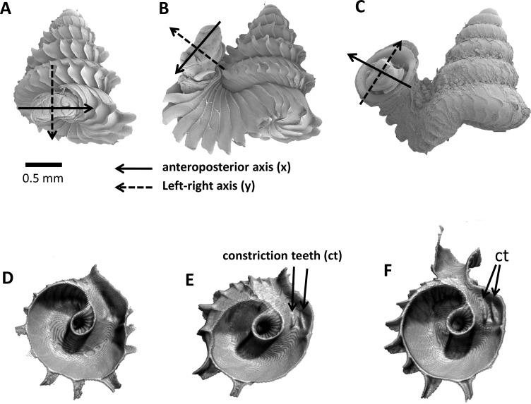 https://cdn.ncbi.nlm.nih.gov/pmc/blobs/b024/4034611/19037f8c7a81/peerj-02-383-g003.jpg