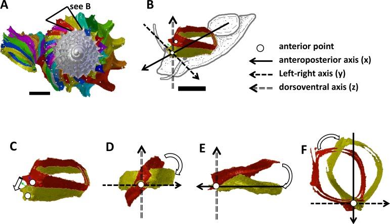 https://cdn.ncbi.nlm.nih.gov/pmc/blobs/b024/4034611/3066abb82c47/peerj-02-383-g002.jpg