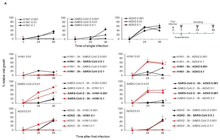 https://cdn.ncbi.nlm.nih.gov/pmc/blobs/b029/11680187/b5099ca385c0/viruses-16-01947-g002a.jpg