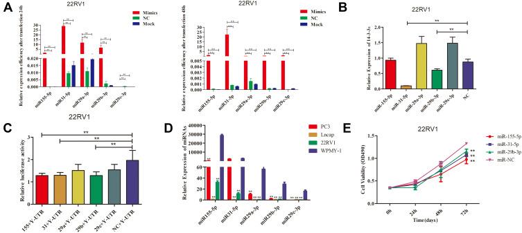 https://cdn.ncbi.nlm.nih.gov/pmc/blobs/b029/7402864/404173690aa9/CMAR-12-6679-g0001.jpg