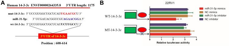 https://cdn.ncbi.nlm.nih.gov/pmc/blobs/b029/7402864/4a8066f14c61/CMAR-12-6679-g0002.jpg
