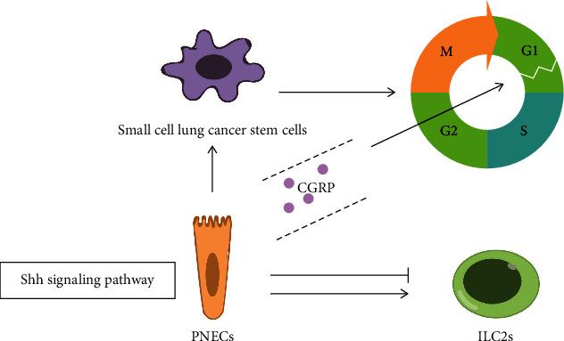 https://cdn.ncbi.nlm.nih.gov/pmc/blobs/b02a/8817839/ed39ec010562/OMCL2022-4107433.003.jpg