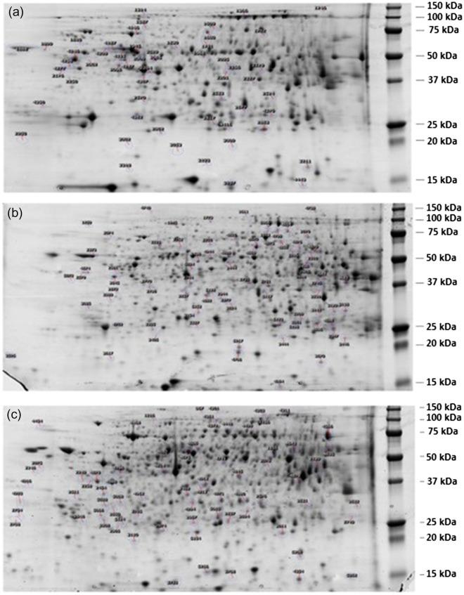 https://cdn.ncbi.nlm.nih.gov/pmc/blobs/b02c/8742038/78e02c361eed/41598_2021_3306_Fig1_HTML.jpg