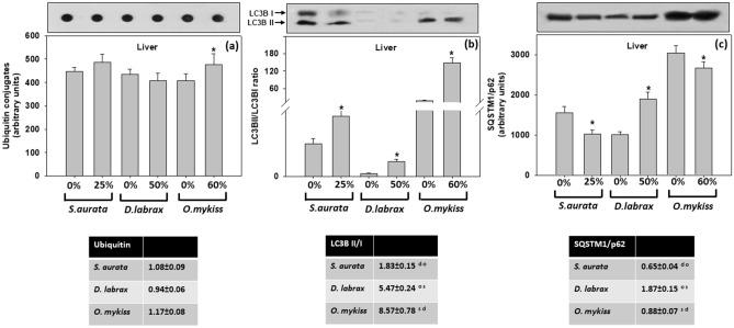 https://cdn.ncbi.nlm.nih.gov/pmc/blobs/b02c/8742038/81eaf0de10ff/41598_2021_3306_Fig4_HTML.jpg
