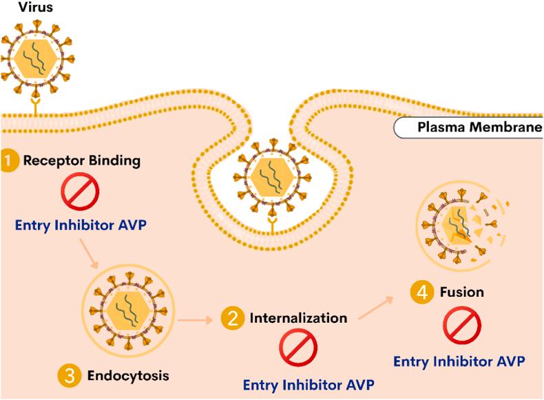 https://cdn.ncbi.nlm.nih.gov/pmc/blobs/b02e/12296541/0df601fa1348/gr2.jpg