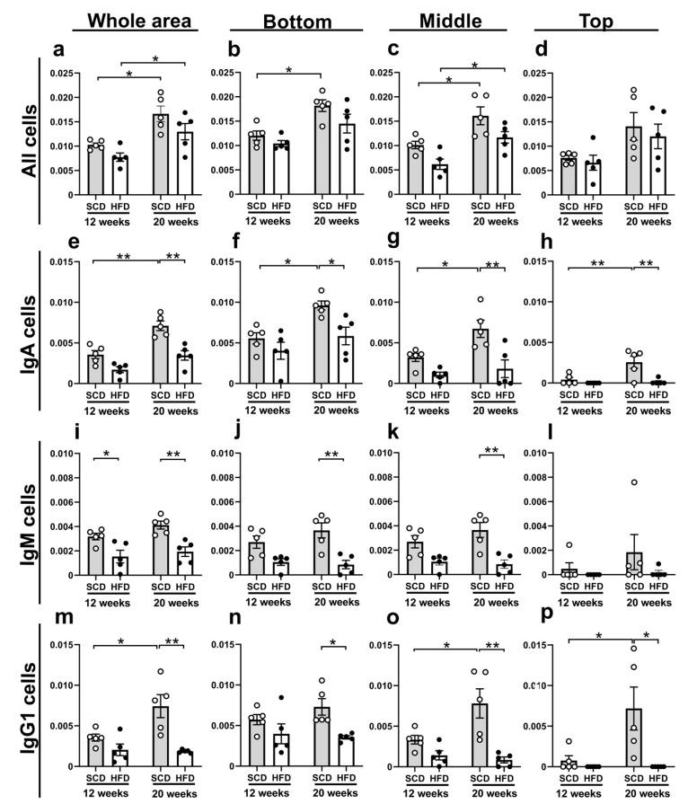 https://cdn.ncbi.nlm.nih.gov/pmc/blobs/b02f/7866202/102788968346/ijms-22-01165-g005.jpg