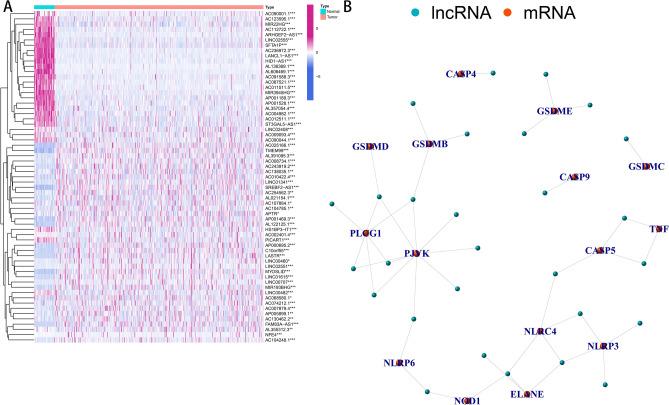https://cdn.ncbi.nlm.nih.gov/pmc/blobs/b02f/9249737/3f468fea1615/41598_2022_15373_Fig1_HTML.jpg