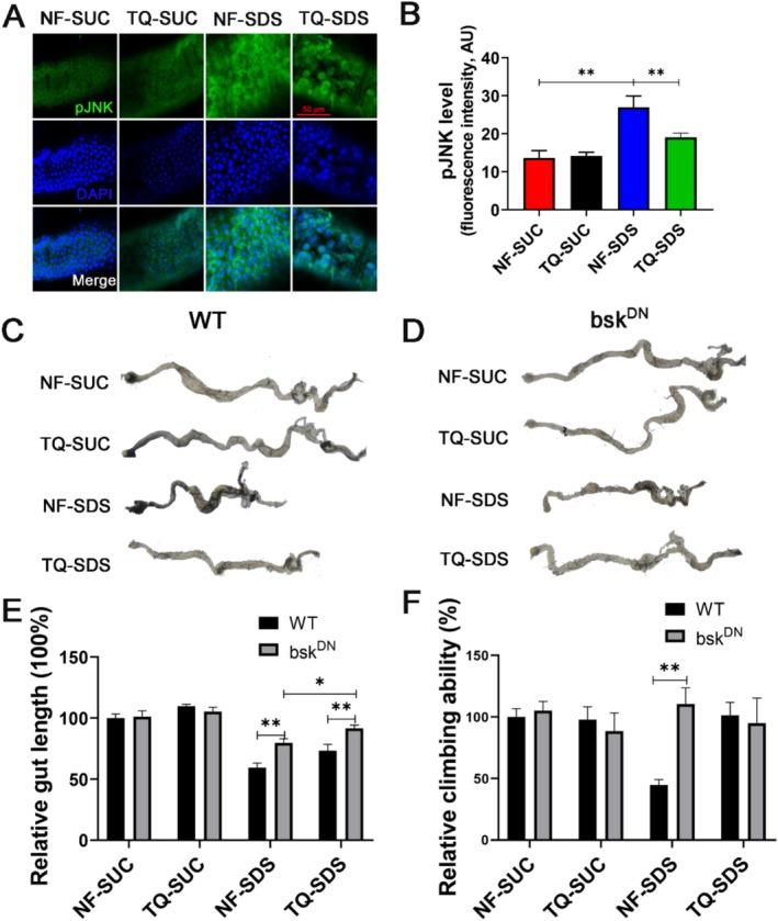 https://cdn.ncbi.nlm.nih.gov/pmc/blobs/b030/11932059/d8125142f824/FSN3-13-e70113-g003.jpg