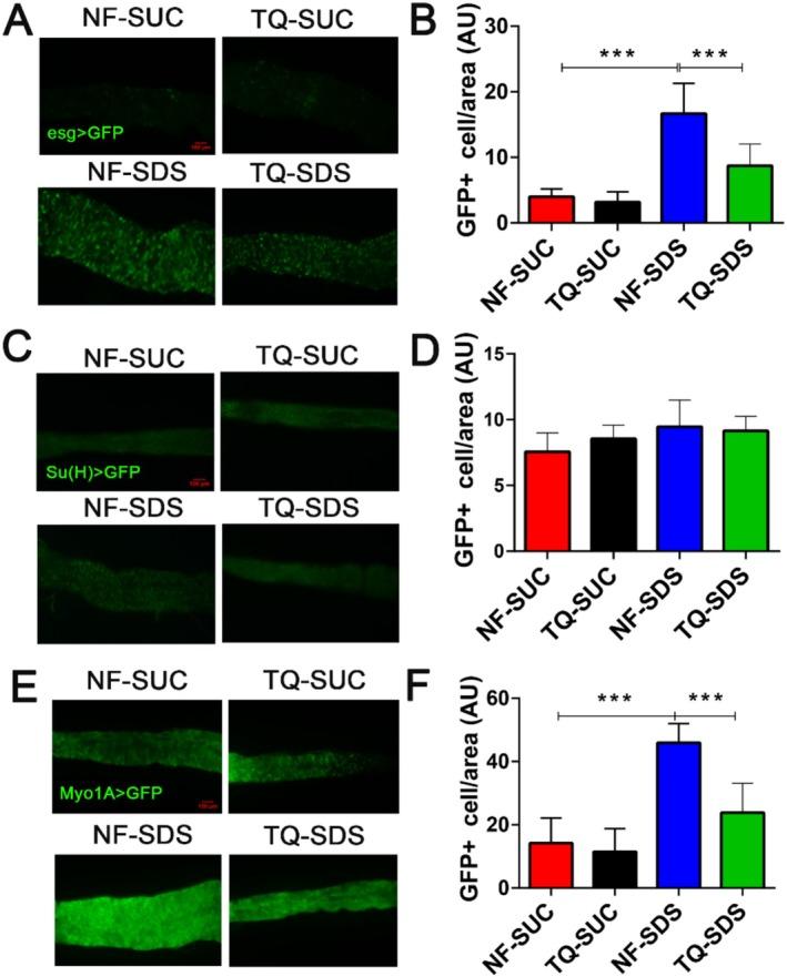 https://cdn.ncbi.nlm.nih.gov/pmc/blobs/b030/11932059/dbaa26753b2b/FSN3-13-e70113-g004.jpg