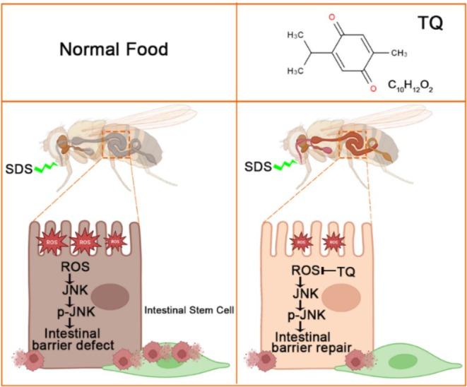 https://cdn.ncbi.nlm.nih.gov/pmc/blobs/b030/11932059/fcaf1de3011e/FSN3-13-e70113-g001.jpg