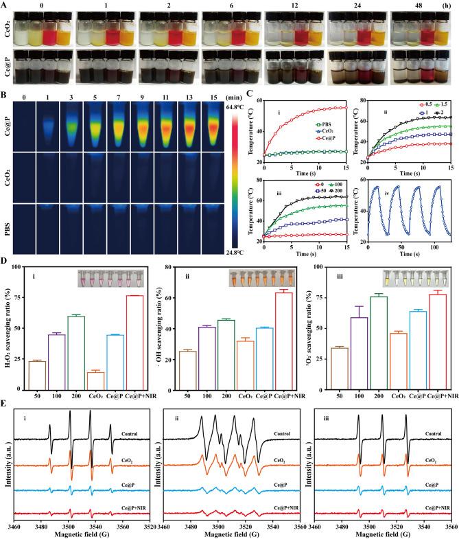 https://cdn.ncbi.nlm.nih.gov/pmc/blobs/b033/11162040/bc31d875e3dc/12951_2024_2570_Fig3_HTML.jpg