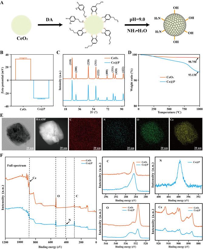 https://cdn.ncbi.nlm.nih.gov/pmc/blobs/b033/11162040/c5b6b576b32c/12951_2024_2570_Fig2_HTML.jpg
