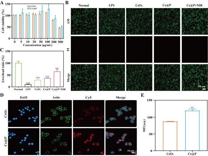 https://cdn.ncbi.nlm.nih.gov/pmc/blobs/b033/11162040/dd04cd86a811/12951_2024_2570_Fig4_HTML.jpg
