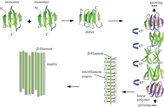 https://cdn.ncbi.nlm.nih.gov/pmc/blobs/b034/8074788/d6318dd7e29b/rsos201857f01.jpg