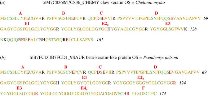 https://cdn.ncbi.nlm.nih.gov/pmc/blobs/b034/8074788/fdeb6ee1a1f4/rsos201857f04.jpg