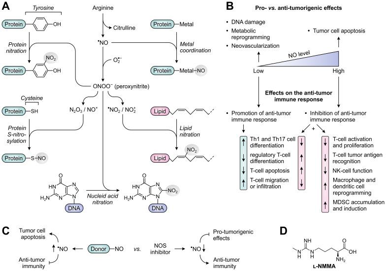 https://cdn.ncbi.nlm.nih.gov/pmc/blobs/b037/11359565/59b69f562b24/fimmu-15-1440269-g008.jpg