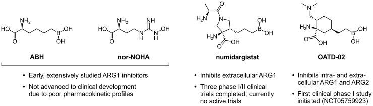 https://cdn.ncbi.nlm.nih.gov/pmc/blobs/b037/11359565/a4843e1559fa/fimmu-15-1440269-g007.jpg