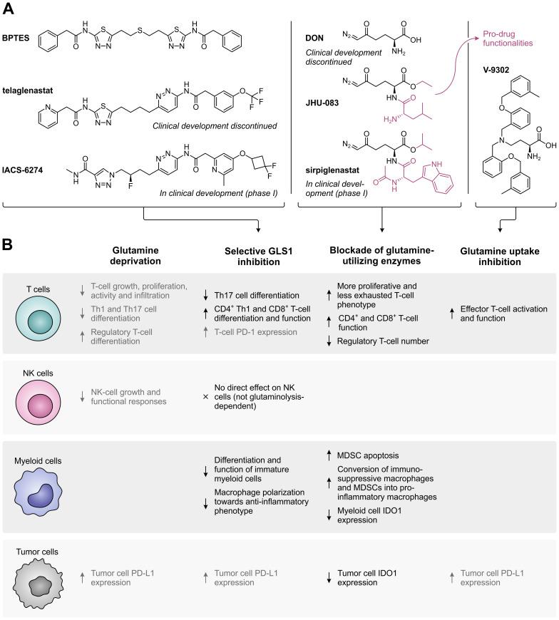 https://cdn.ncbi.nlm.nih.gov/pmc/blobs/b037/11359565/f5970dfe371a/fimmu-15-1440269-g004.jpg