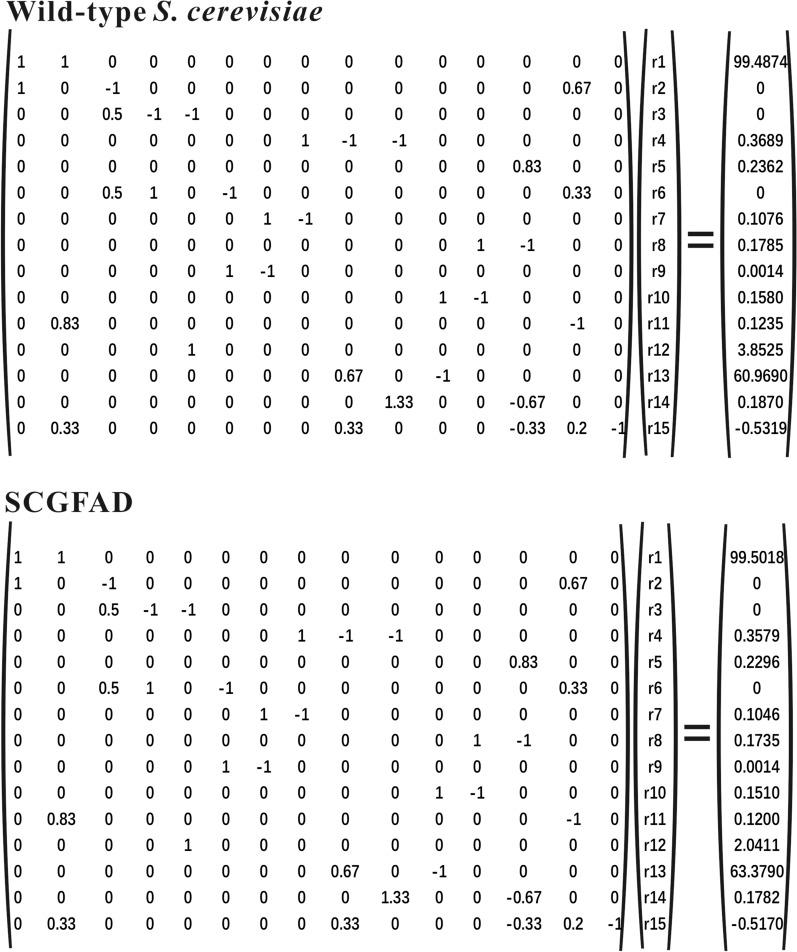 https://cdn.ncbi.nlm.nih.gov/pmc/blobs/b037/9375381/1f8a80a6c8b2/12934_2022_1885_Fig5_HTML.jpg