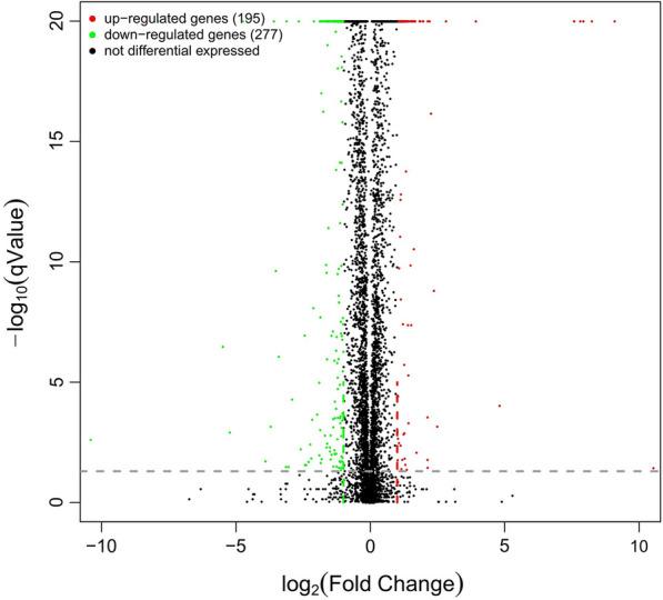 https://cdn.ncbi.nlm.nih.gov/pmc/blobs/b037/9375381/a0ad4205978a/12934_2022_1885_Fig7_HTML.jpg