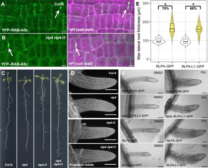 https://cdn.ncbi.nlm.nih.gov/pmc/blobs/b038/10954545/bd33bdcb9f95/41477_2024_1629_Fig11_ESM.jpg