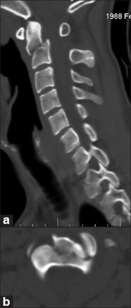 https://cdn.ncbi.nlm.nih.gov/pmc/blobs/b038/3190430/4cdc06922df7/JCVJS-2-41-g001.jpg