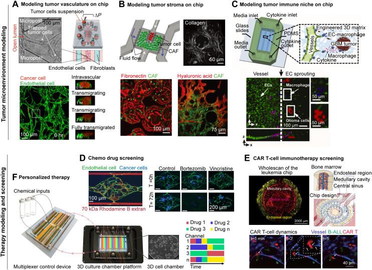 https://cdn.ncbi.nlm.nih.gov/pmc/blobs/b039/12082394/afa73db030b1/d4lc01043d-f3.jpg