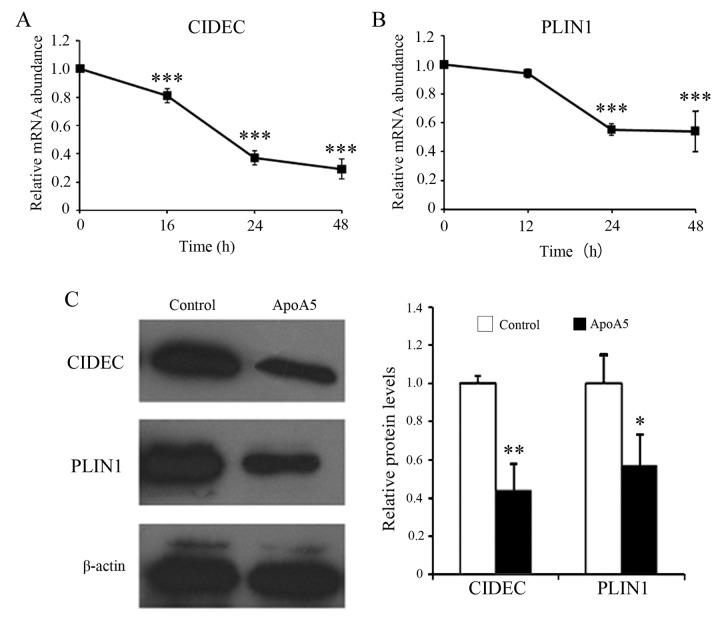 https://cdn.ncbi.nlm.nih.gov/pmc/blobs/b039/5865834/826a1a7b4347/mmr-16-05-6771-g06.jpg