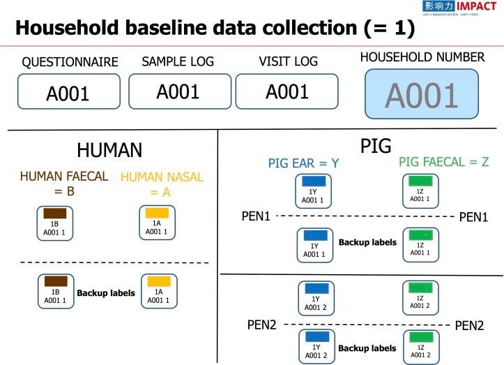 https://cdn.ncbi.nlm.nih.gov/pmc/blobs/b03a/5780695/349a1ed4a9a5/bmjopen-2017-017832f03.jpg